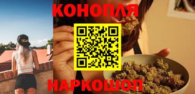 крисы Лесосибирск