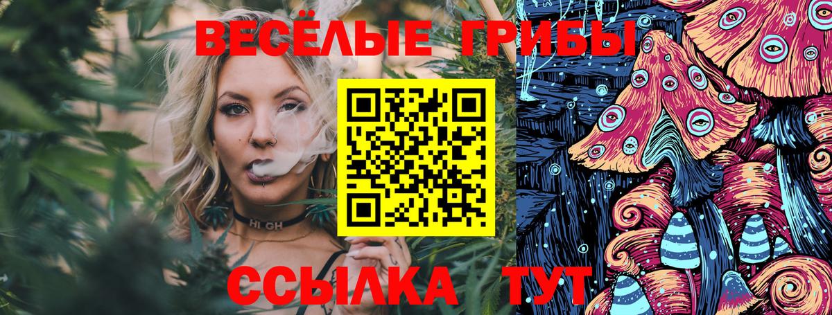 цены   Вход с VPN  Чистополь  Псилоцибиновые грибы Magic Shrooms 